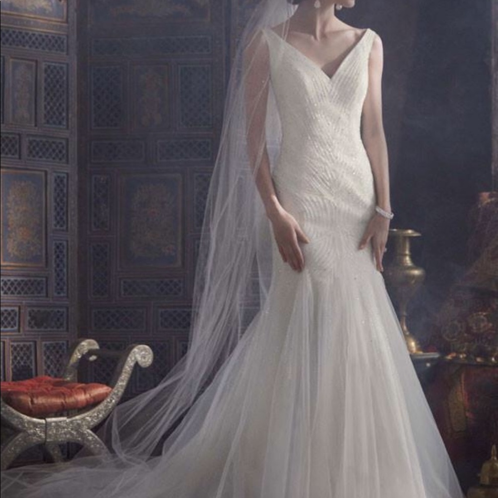 wedding dress& cathedral Veil